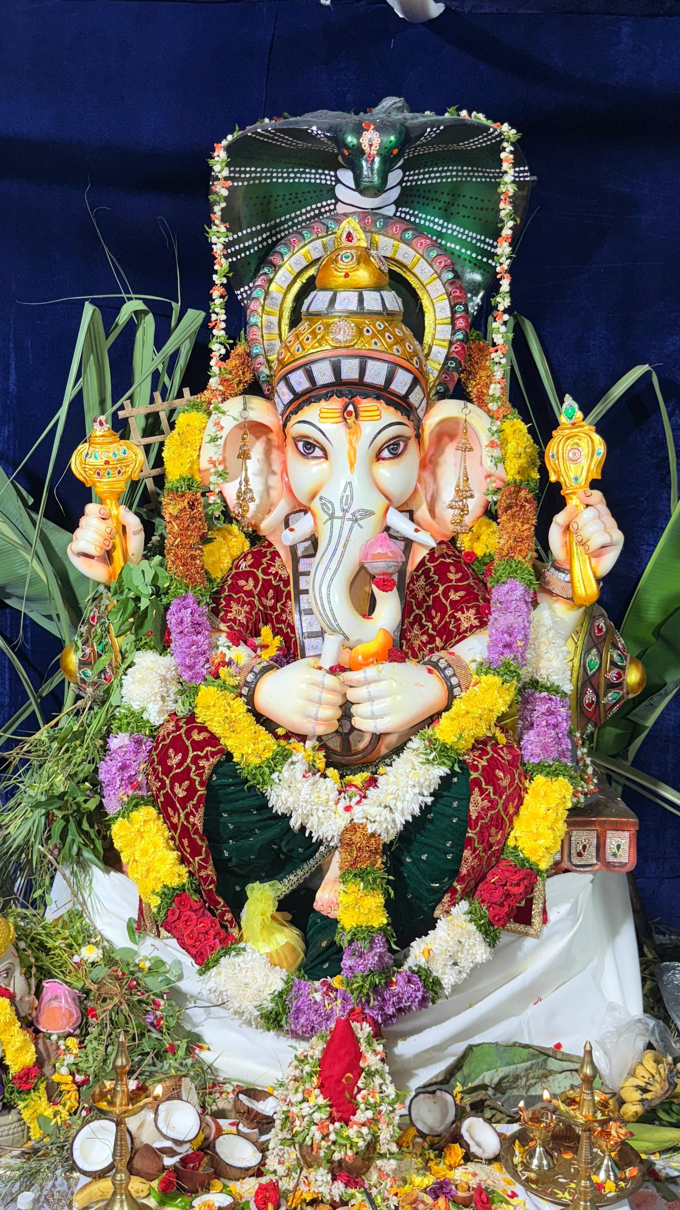 SRIDVM 2025 Ganesh idol chapter image